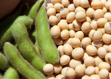 Sau cuộc đàm phán Mỹ - Trung, tâm lý lạc quan lan tỏa trên thị trường hàng hóa thế giới